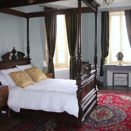 בית כפרי Chateau De Puybelliard *
