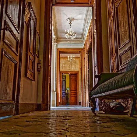 Chateau De Puybelliard * שאנטונה