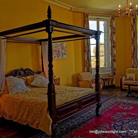 בית כפרי Chateau De Puybelliard *