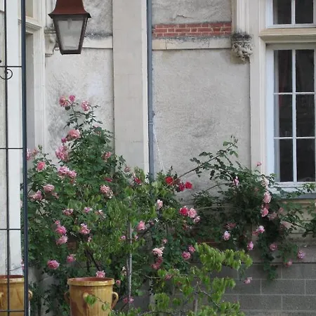 Chateau De Puybelliard * שאנטונה